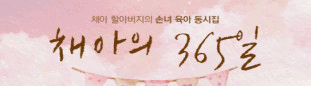 채아의 365일