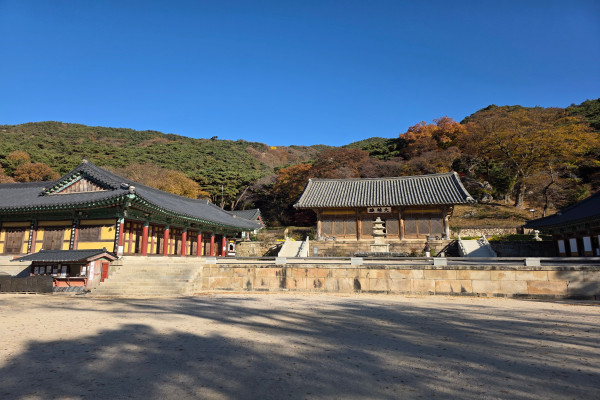 월랑 신낙형 시인의 '수덕사 천년의 꽃'