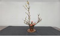 한상숙의 꽃꽂이 맛보기 ‘자유화(自由花)’