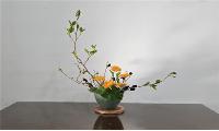 한상숙의 꽃꽂이 맛보기 ‘자유화(自由花)’